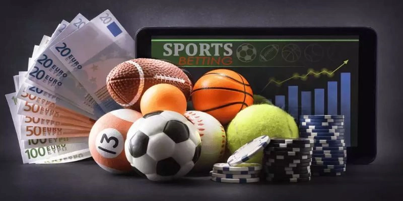 Lý do nên tham gia đặt cược tại thể thao Kubet